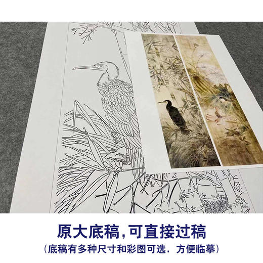【四条屏】工笔画白描底稿竹子荷花临摹勾线花鸟线稿TP04 商品图1