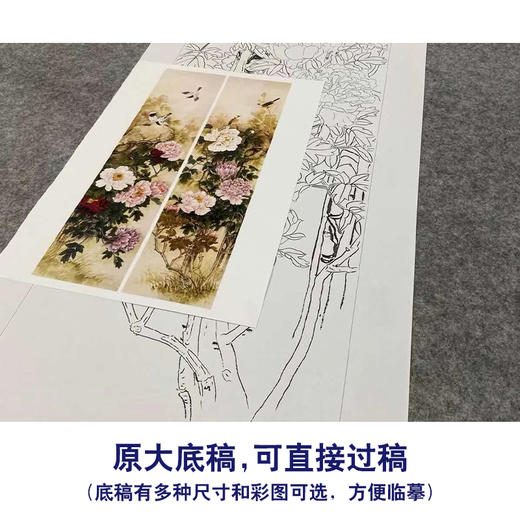 【四条屏】工笔花鸟画白描底稿牡丹临摹勾线花鸟线稿TP05 商品图1
