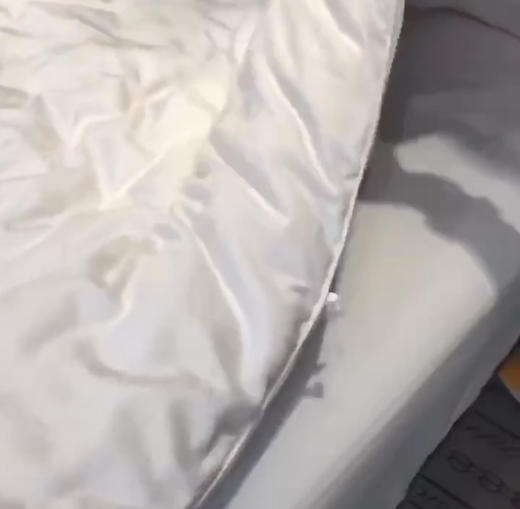 LSN3648  子母大豆被 商品图12