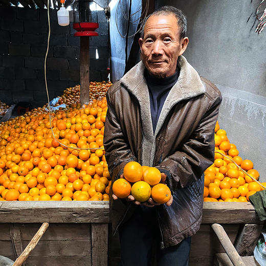 【助农】助力湖南冰糖橙走出大山，香甜可口，清爽多汁~ 商品图5