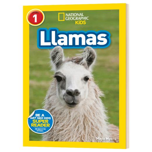 美国国家地理分级阅读读物 羊驼 英文原版 National Geographic Kids Readers L1 Llamas 动物科普百科 英文版 进口书 商品图3