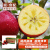 【福虎献瑞】威宁杨华冰心苹果 绿标认证 脆甜多汁 超值简装（二级约五斤）【GY】 商品缩略图0