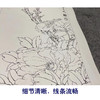 【四条屏】李晓明工笔花鸟画白描底稿《国色天香》牡丹临摹勾线花鸟线稿KA30 商品缩略图4