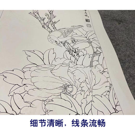 【四条屏】李晓明工笔花鸟画白描底稿《国色天香》牡丹临摹勾线花鸟线稿KA30 商品图4
