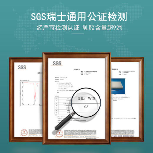 NEPE泰国进口天然乳胶枕 商品图5