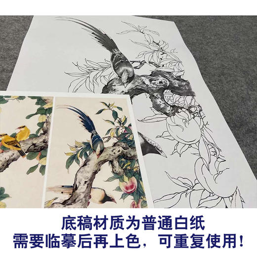 【四条屏】陈军工笔画白描底稿桃树黄鹂临摹勾线花鸟线稿CJ61 商品图3
