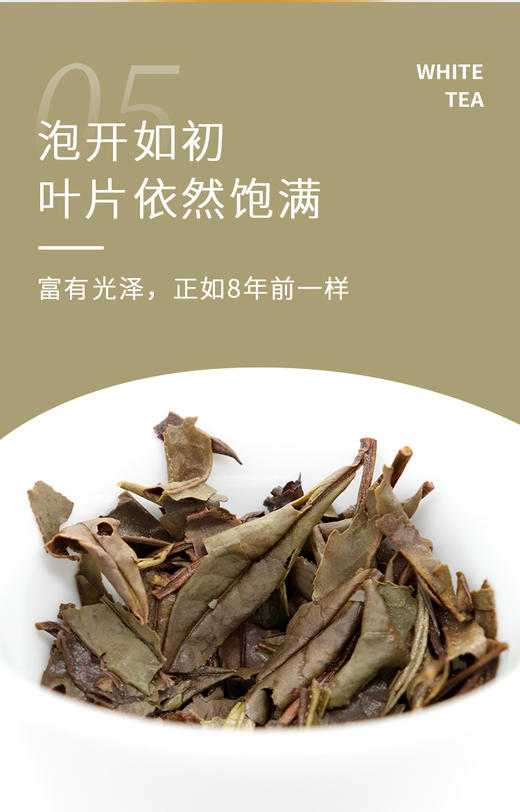 2014年 老白茶饼茶 300克 商品图6