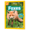 美国国家地理分级阅读读物 狐狸 英文原版 National Geographic Kids level 2 Foxes 儿童科普百科 英文版 进口英语书籍 商品缩略图3