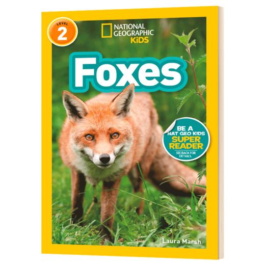 美国国家地理分级阅读读物 狐狸 英文原版 National Geographic Kids level 2 Foxes 儿童科普百科 英文版 进口英语书籍 商品图3