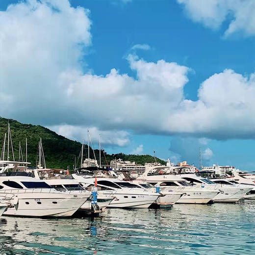 【海南三亚】三亚进出5天4晚/6天5晚|蜈支洲岛+亚龙湾+玫瑰谷+南山寺+天涯海角+夜游三亚湾 商品图4