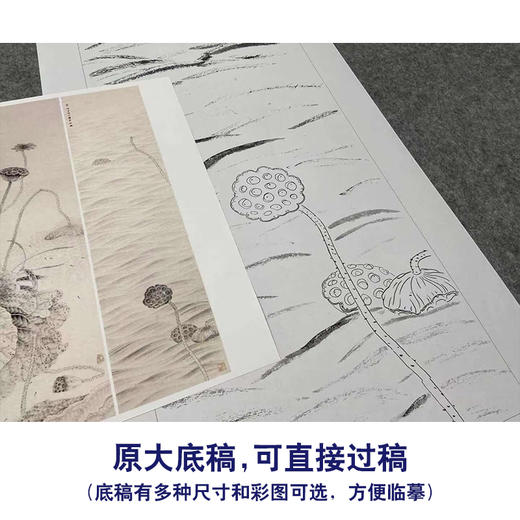【四条屏】工笔画白描底稿荷花春夏秋冬临摹勾线花鸟线稿TP02 商品图1