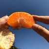 【季节限定】涌泉蜜桔  皮薄肉嫩口口爆汁 商品缩略图4