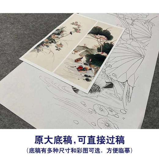 【四条屏】陈军工笔画白描稿荷花桃花临摹勾线花鸟线稿CJ60 商品图1