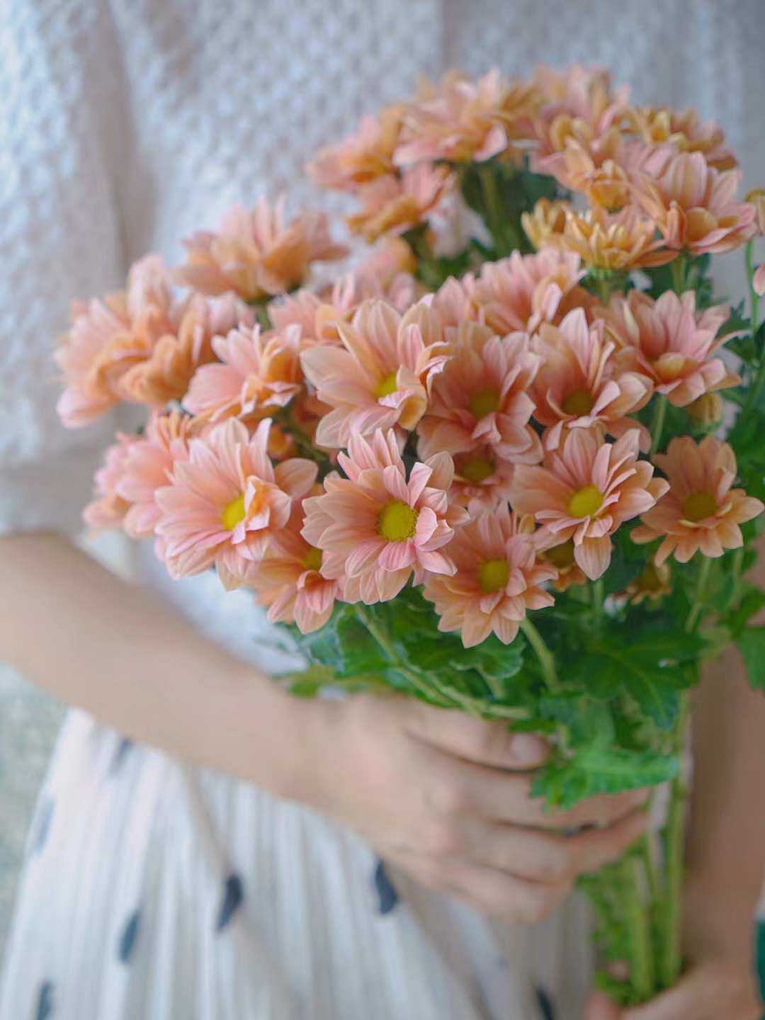 三文鱼小雏菊【智者不入爱河，遇你难做智者】简小姐精选 新品 小雏菊三文鱼1束 2束包邮 下单后5天内发货