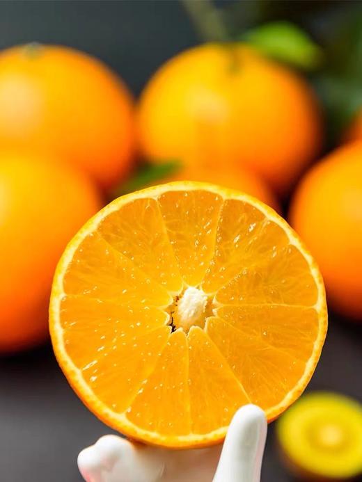 爱媛果冻橙 商品图0