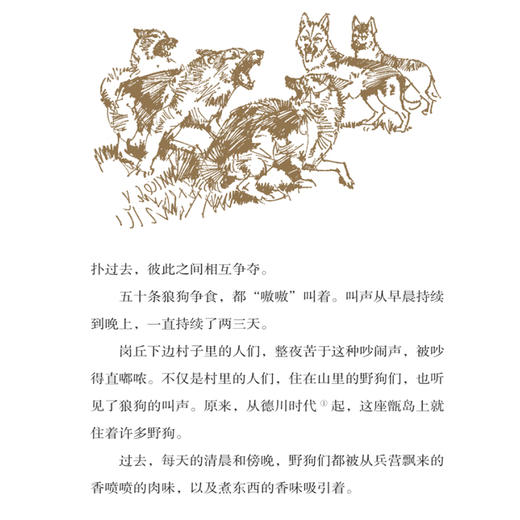 孤岛野犬 椋鸠十动物小说爱藏本】 11-14岁小学生课外阅读书籍插画本推荐书目 商品图2
