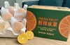 爱媛果冻橙 商品缩略图1