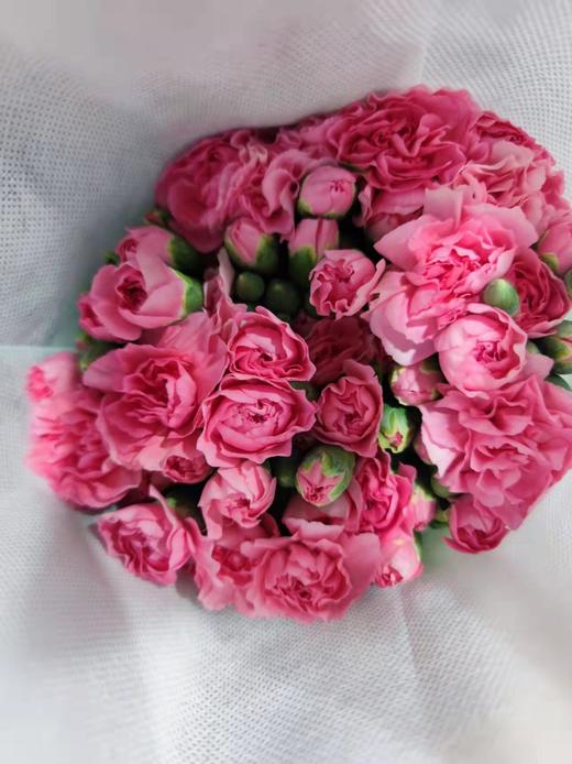 花农 多头康乃馨挑色各色都有，点击进入 商品图8