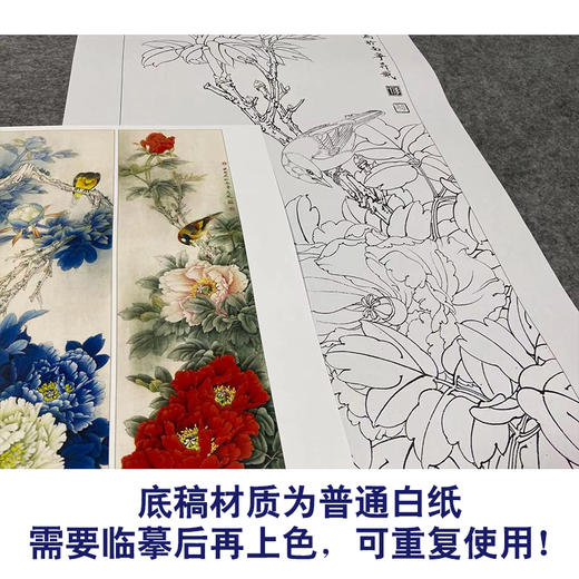 【四条屏】李晓明工笔花鸟画白描底稿《国色天香》牡丹临摹勾线花鸟线稿KA30 商品图3