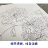 恽寿平没骨工笔花鸟画白描底稿花卉册页小品一套六幅册页尺寸31×40厘米SP95 商品缩略图4