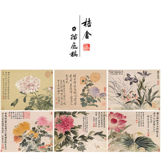 恽寿平没骨工笔花鸟画白描底稿花卉册页小品一套六幅册页尺寸31×40厘米SP95 商品图0
