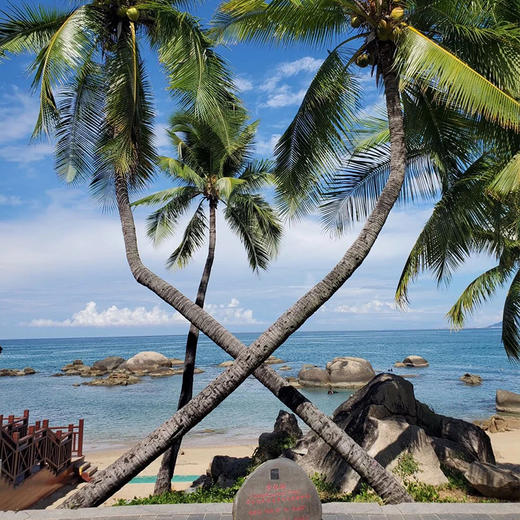 海南三亚·南山寺+天涯海角经典一日游(纯玩2人精致小团+专属司导+一龄接送） 商品图2