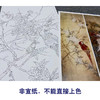 【四条屏】工笔画白描底稿鹦鹉临摹勾线花鸟线稿TP03 商品缩略图2