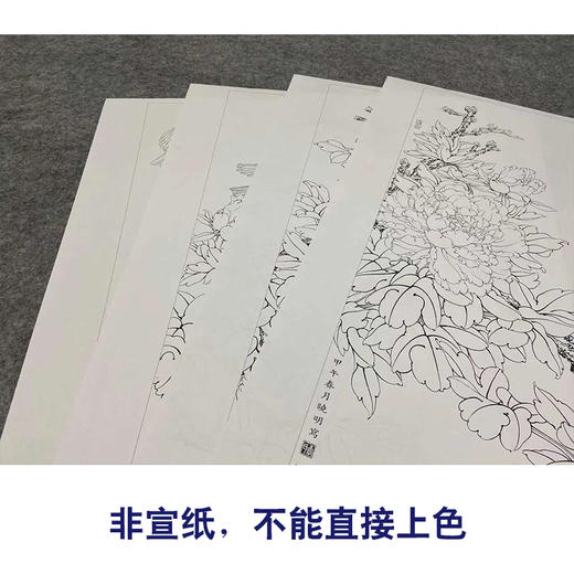 【四条屏】李晓明工笔花鸟画白描稿《富贵天香》牡丹临摹勾线花鸟线稿KF23 商品图2