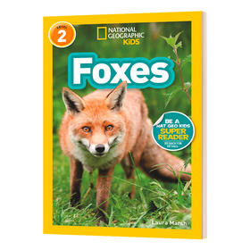 美国国家地理分级阅读读物 狐狸 英文原版 National Geographic Kids level 2 Foxes 儿童科普百科 英文版 进口英语书籍