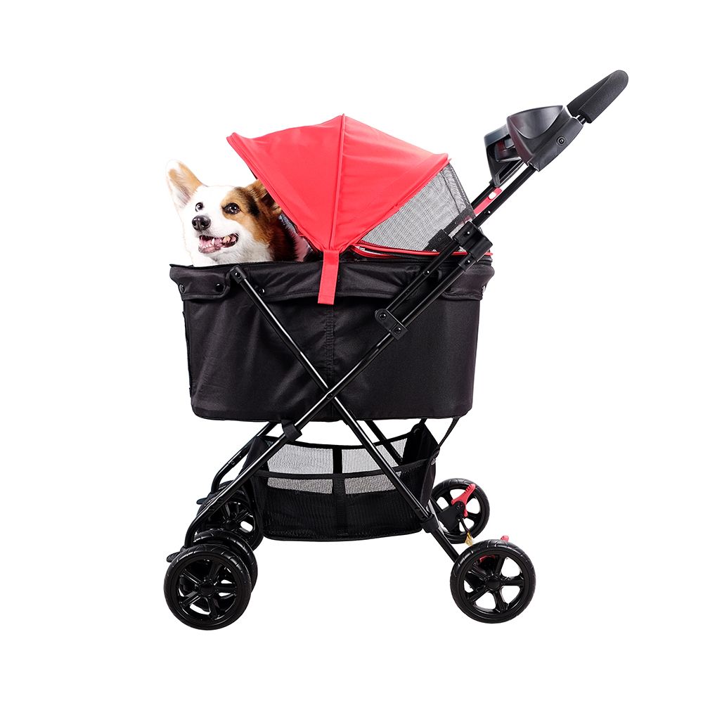 Buggy 2025 for dog