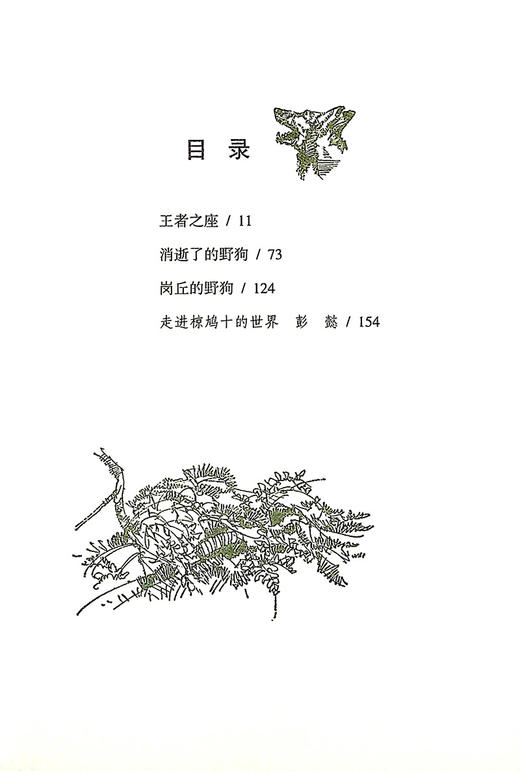 孤岛野犬 椋鸠十动物小说爱藏本】 11-14岁小学生课外阅读书籍插画本推荐书目 商品图1