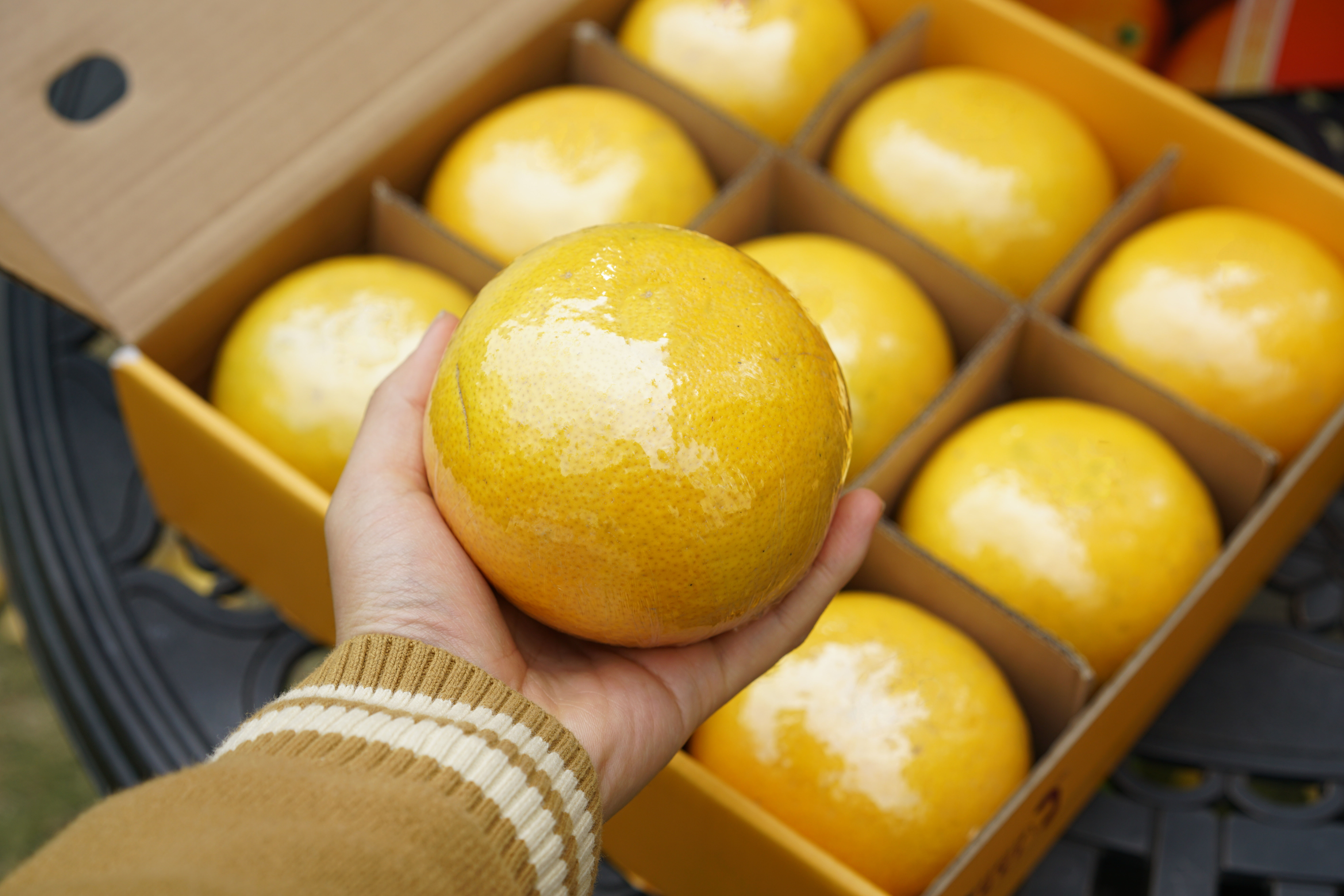 快抱精选的常山胡柚果脯市面买不到的尖货