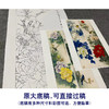 【四条屏】李晓明工笔花鸟画白描底稿《国色天香》牡丹临摹勾线花鸟线稿KA30 商品缩略图1