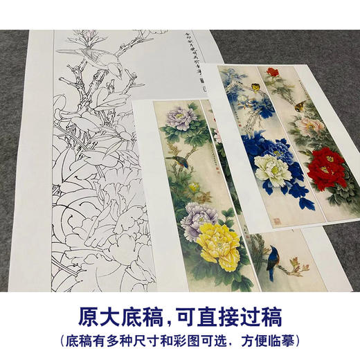 【四条屏】李晓明工笔花鸟画白描底稿《国色天香》牡丹临摹勾线花鸟线稿KA30 商品图1