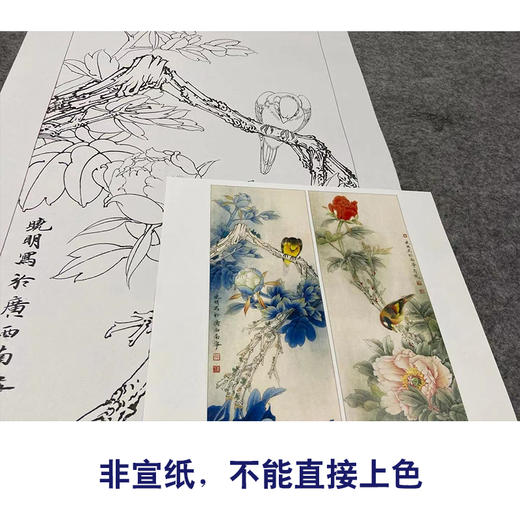【四条屏】李晓明工笔花鸟画白描底稿《国色天香》牡丹临摹勾线花鸟线稿KA30 商品图2