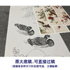 【四条屏】陈军工笔画白描底稿柿子葡萄临摹勾线花鸟线稿CJ63 商品缩略图1