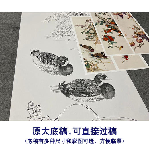 【四条屏】陈军工笔画白描底稿柿子葡萄临摹勾线花鸟线稿CJ63 商品图1