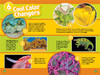 美国国家地理分级阅读 变色生物 英文原版 National Geographic Readers level 2 Animals That Change Color 进口英文书 商品缩略图1