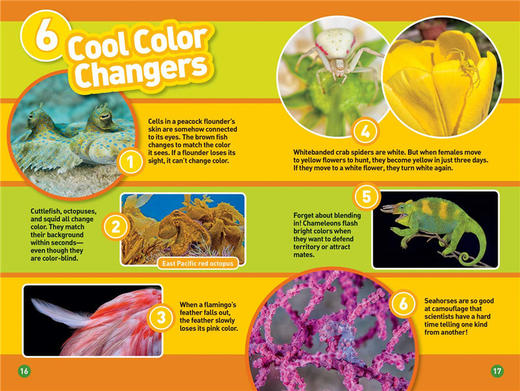 美国国家地理分级阅读 变色生物 英文原版 National Geographic Readers level 2 Animals That Change Color 进口英文书 商品图1