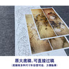 【四条屏】工笔画白描底稿鹦鹉临摹勾线花鸟线稿TP03 商品缩略图1