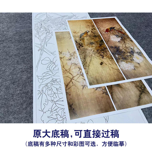【四条屏】工笔画白描底稿鹦鹉临摹勾线花鸟线稿TP03 商品图1