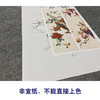 【四条屏】陈军工笔画白描底稿柿子葡萄临摹勾线花鸟线稿CJ63 商品缩略图2