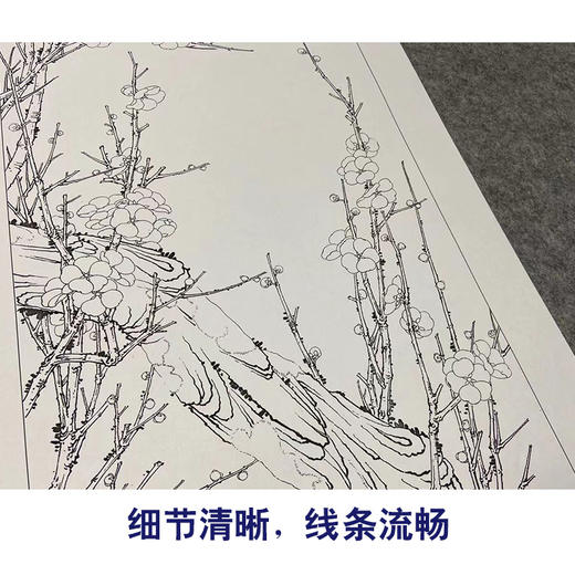 【四条屏】李晓明工笔画白描底稿《梅兰竹菊》临摹勾线花鸟线稿KA32 商品图4