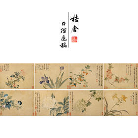 恽寿平没骨工笔花鸟画白描底稿花卉册页小品一套八幅册页尺寸30×40厘米SP94