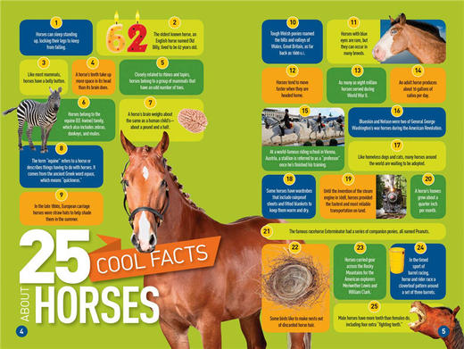 美国国家地理分级阅读 关于马的100件有趣事实 英文原版 National Geographic Readers level 3 Gallop! 英文版 进口书籍 商品图1
