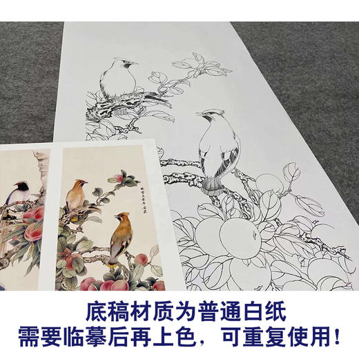 【四条屏】陈军工笔画白描底稿桃花桃枝柿子临摹勾线花鸟线稿CJ66 商品图3
