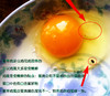 碧夏山庄 绿壳乌鸡蛋 商品缩略图8