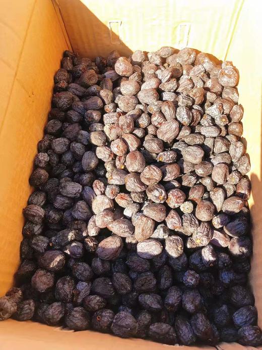 黑枣一箱（拼团） 商品图1