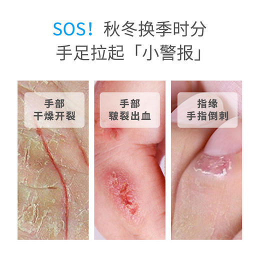 【20天修护干裂冻裂】迪王皲裂膏防裂膏手足干裂手裂口脚裂膏龟裂草本配方倍滋润深修护 商品图1