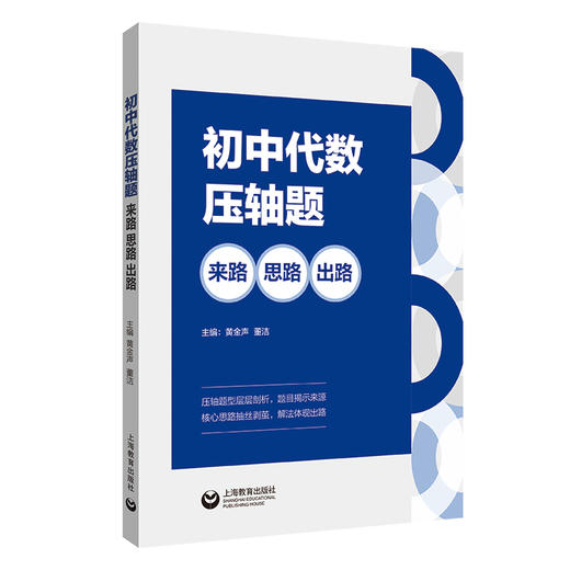 初中代数压轴题：来路、思路、出路 商品图0